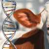 Genética Animal