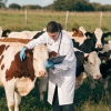 Epidemiología Veterinaria