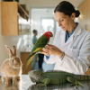 Medicina de Animales no Convencionales