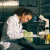 Metodología de la Investigación
