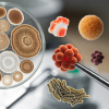 Bacteriología y Micología Veterinaria